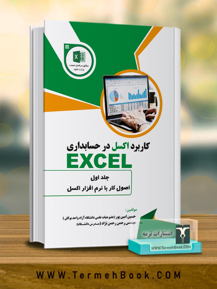 کاربرد اکسل در حسابداري(جلد اول)